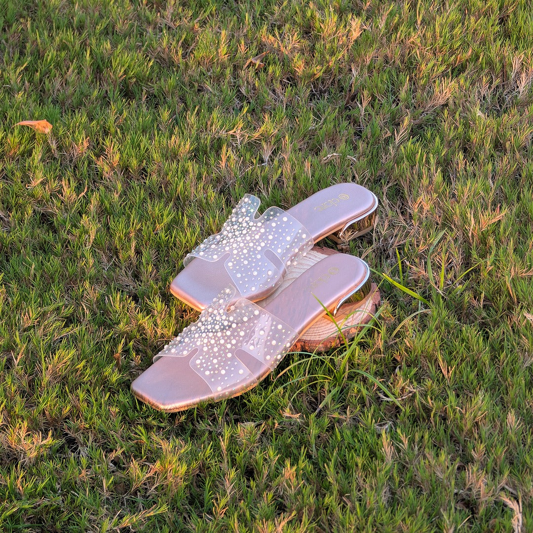 Ziva Platforms